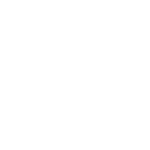 Newline Secure